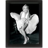 10x 8 marilyn monroe 3d lenticular poster