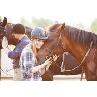 10 instead of 17 for a 30 minute pony riding lesson at mill house ridi ...