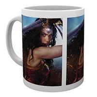 10oz Wonder Woman Defend Mug