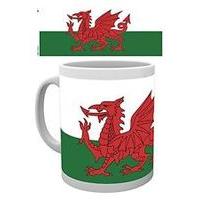 10oz Wales Flag Mug