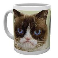 10oz Grumpy Cat Nolo Mug