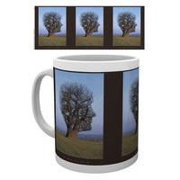 10oz Pink Floyd Tree Mug