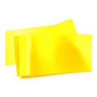 10cm Reel Chic Wide Satin Sash R...