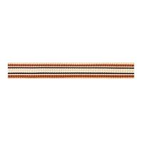 10mm Berisford Deckchair Stripe Ribbon 8 Copper