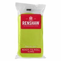 10x Renshaw Ready To Roll Icing Fondant Cake Regalice Sugarpaste 250g LIME GREEN
