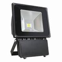 100w IP65 Rated LED Floodlight - Cool White