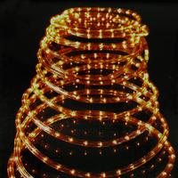 10m multi action rope light