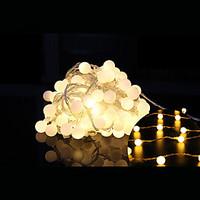 100-LED 10M Waterproof Plug Outdoor Christmas Holiday Decoration Light LED String Light (220V)