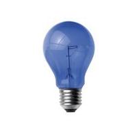 100watt ES daylight blue lamp