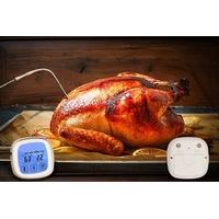 1099 instead of 2099 for a digital cooking thermometer with a probe fo ...