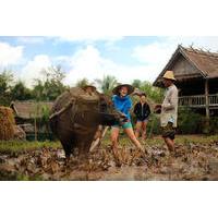 11-Day Thailand and Laos Adventure Tour from Bangkok