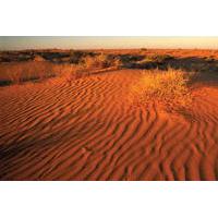 11-Day Simpson Desert 4WD Expedition from Adelaide to Alice Springs