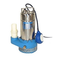 110 Volt Clarke GSE2A 2in Heavy Duty Stainless Steel Pump (110V)
