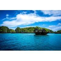 12 day remote northern lau and kadavu discovery cruise