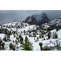 12 Day Rwenzori Trek with Safari
