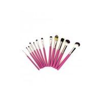 12 Piece Pink Brush Set