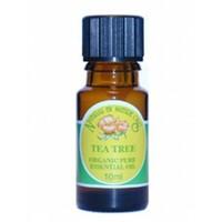(12 PACK) - Natural By Nature Oils - Tea Tree Essential Oil Organic | 10ml | 12 PACK BUNDLE