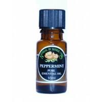 (12 PACK) - Natural By Nature Oils - Peppermint Essential Oil | 10ml | 12 PACK BUNDLE