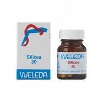 (12 Pack) - Weleda - Silicea 30c | 125\'s | 12 Pack Bundle