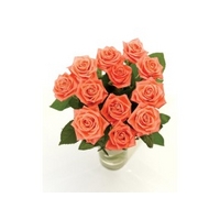 12 Rose Bouquet