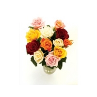 12 classic mixed roses