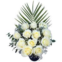 12 White Roses
