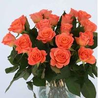 12 Orange Roses