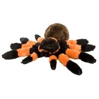 12 tarantula soft toy animal