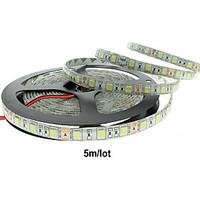 12V 60W 6000LM IP65 Waterproof Resistance LED Strips Available color is White/Blue/Red/Yellow