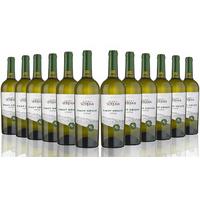 12-Bottles of Pinot Grigio Veneto