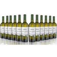 12 bottles of pinot grigio veneto