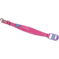 12 x 48 pink nylon dog lead