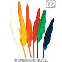 12 Pack Of Indian Feathers