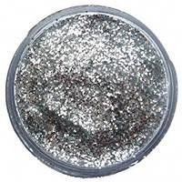 12ml silver glitter dust