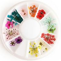 12colours natural dried flower nail art decorations