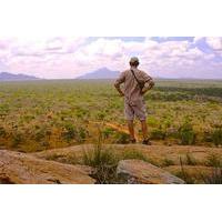 13-Day Kenya Safari: Meru and Aberdare National Parks, Samburu, Ol Pejeta and Solio Reserves and Masai Mara