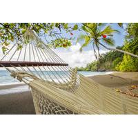 13-Day Tour of Costa Rica\'s National Parks: Hiking, Beaches, Nature and Culture