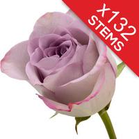 132 Lilac Roses