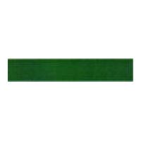 13mm celebrate satin ribbon australian green