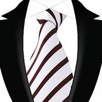 13 kinds mens casual polyester neck tie for business