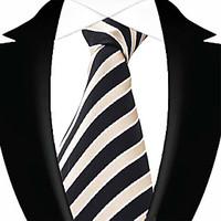 13 kinds casual mens party business polyester neck tie