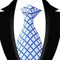 13 kinds business party casual mens polyester neck tie