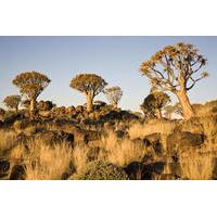 14-Day Namibia Highlights Tour from Windhoek