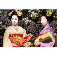 14 day classic japan tour nikko hakone takayama hiroshima and kyoto fr ...