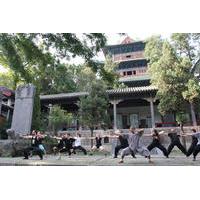 14 day shaolin kung fu training camp from beijing