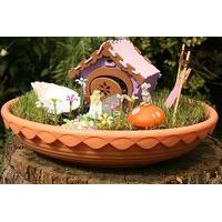 1499 instead of 26 for a grow your own fairy garden from gamez galore  ...