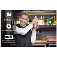 14 instead of 69 for an online bartending and mixology masterclass fro ...
