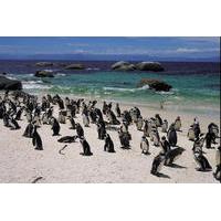 15-Day Picturesque South Africa Journey from Cape Town