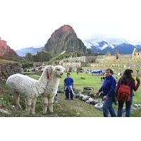 15 day peru tour from lima including paracas arequipa and puno