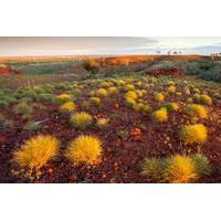 16-Day Great Victoria Desert and Nullarbor 4WD Expedition from Coober Pedy to Adelaide